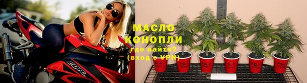 сатива Елабуга