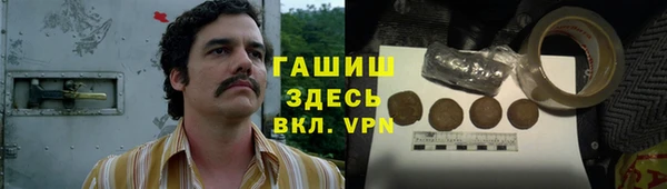 гидра Алексин