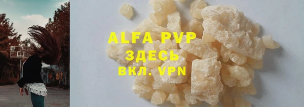 гидра Алексин