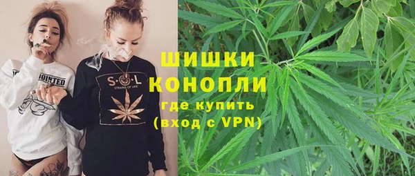 дмт Алзамай