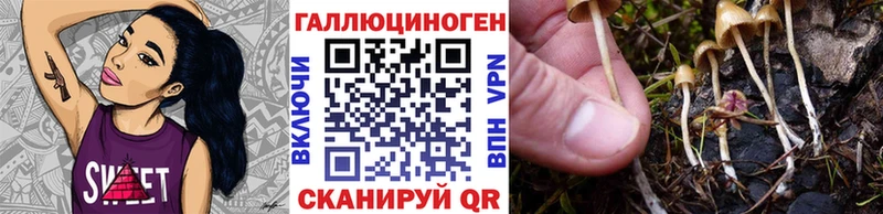 Галлюциногенные грибы Magic Shrooms  наркотики  Похвистнево 